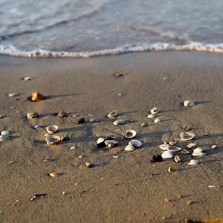 Bright In A Area In Bibione- Beahost Bibione